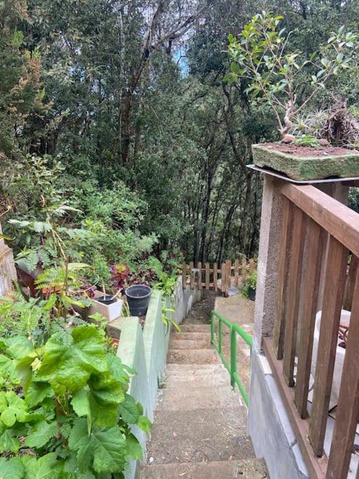 Villa Luz De Vida Anaga Santa Cruz de Tenerife Exterior foto